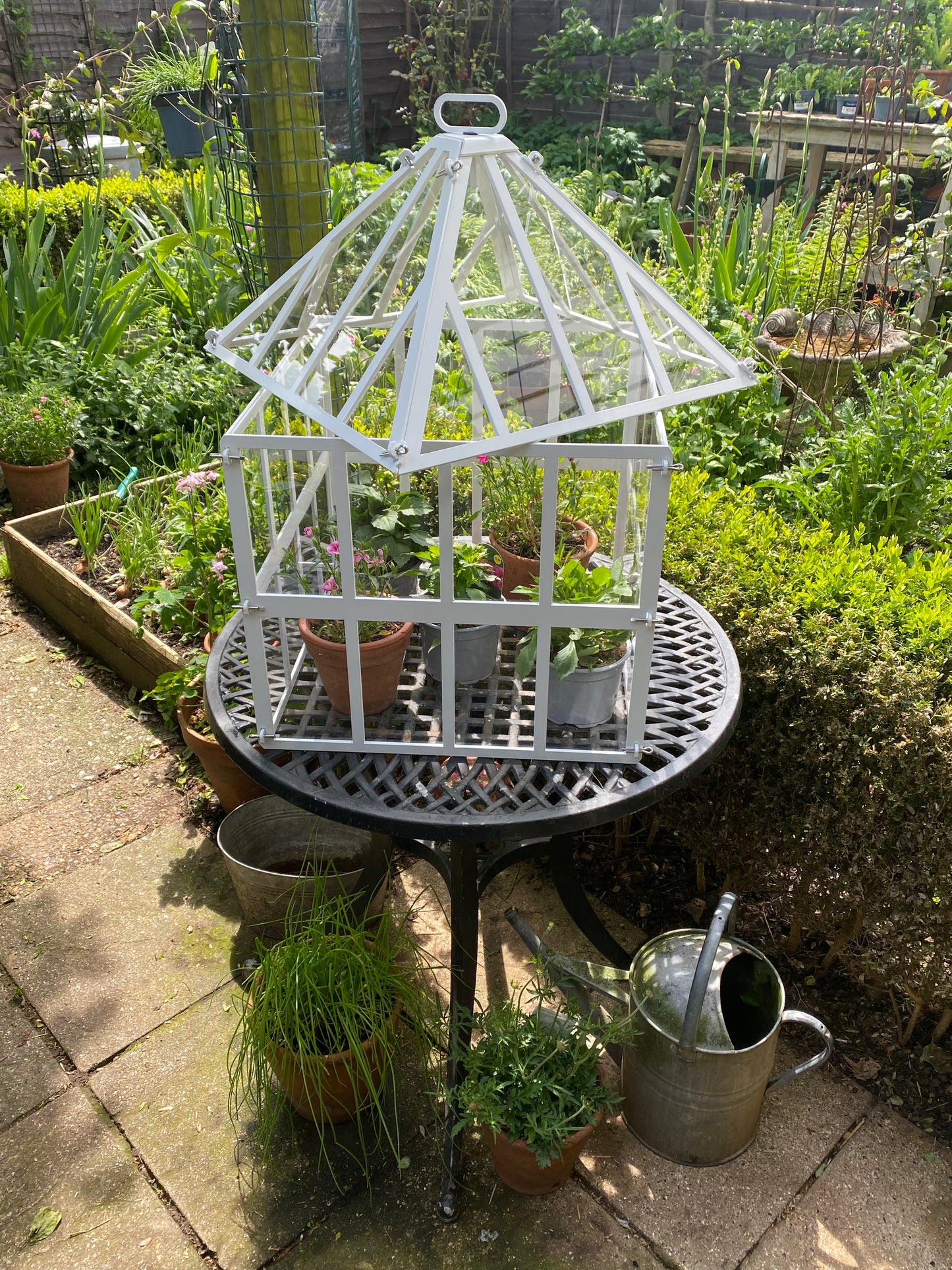 Two Storey Dodson Cloche