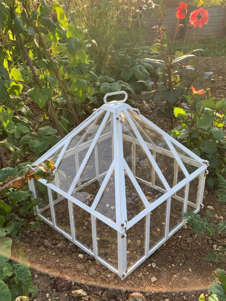 Dodson Cloche