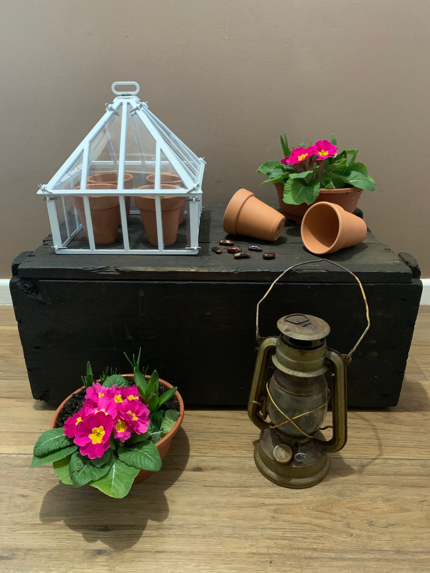 Balcony Cloche