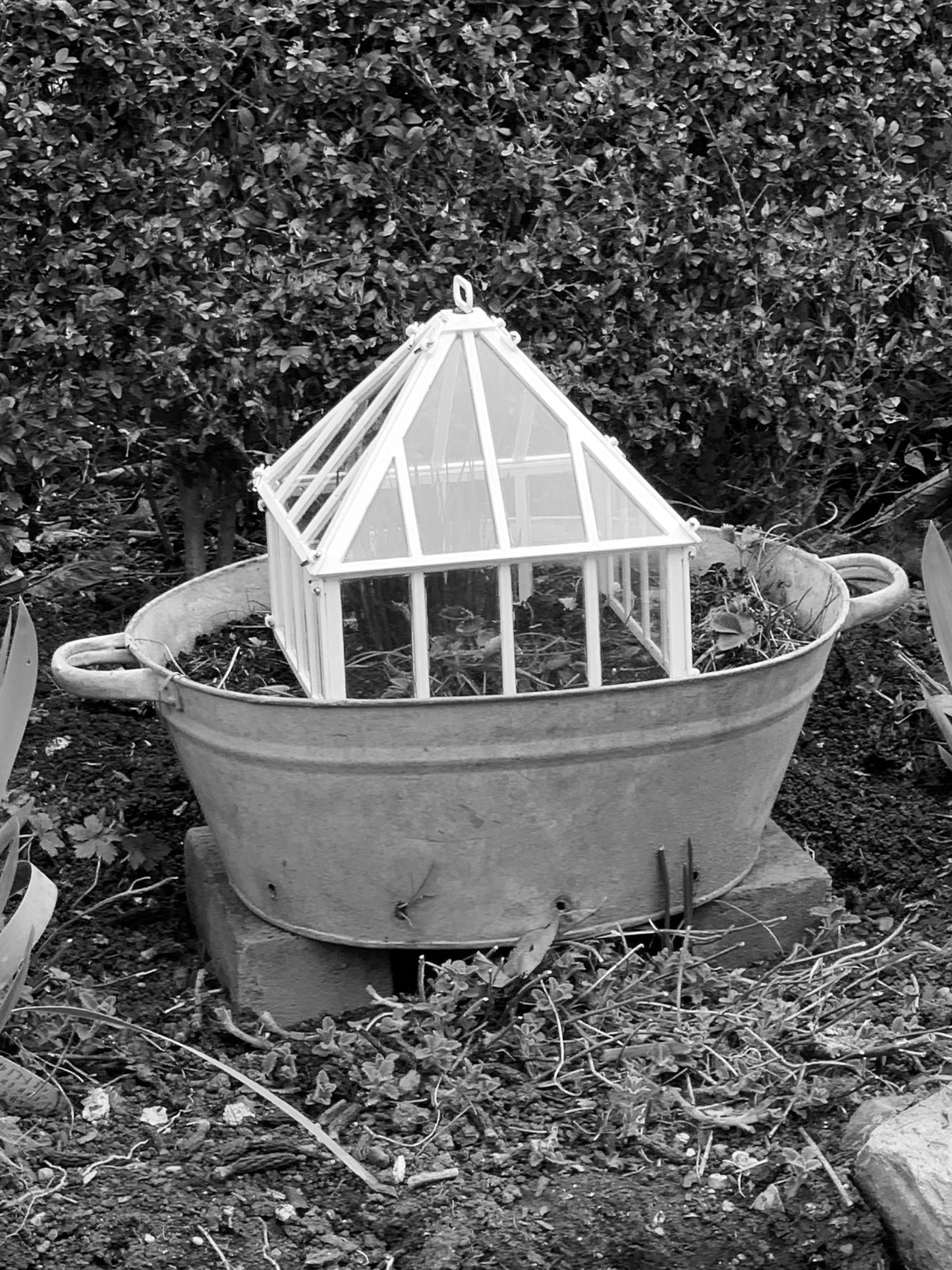 Balcony Cloche