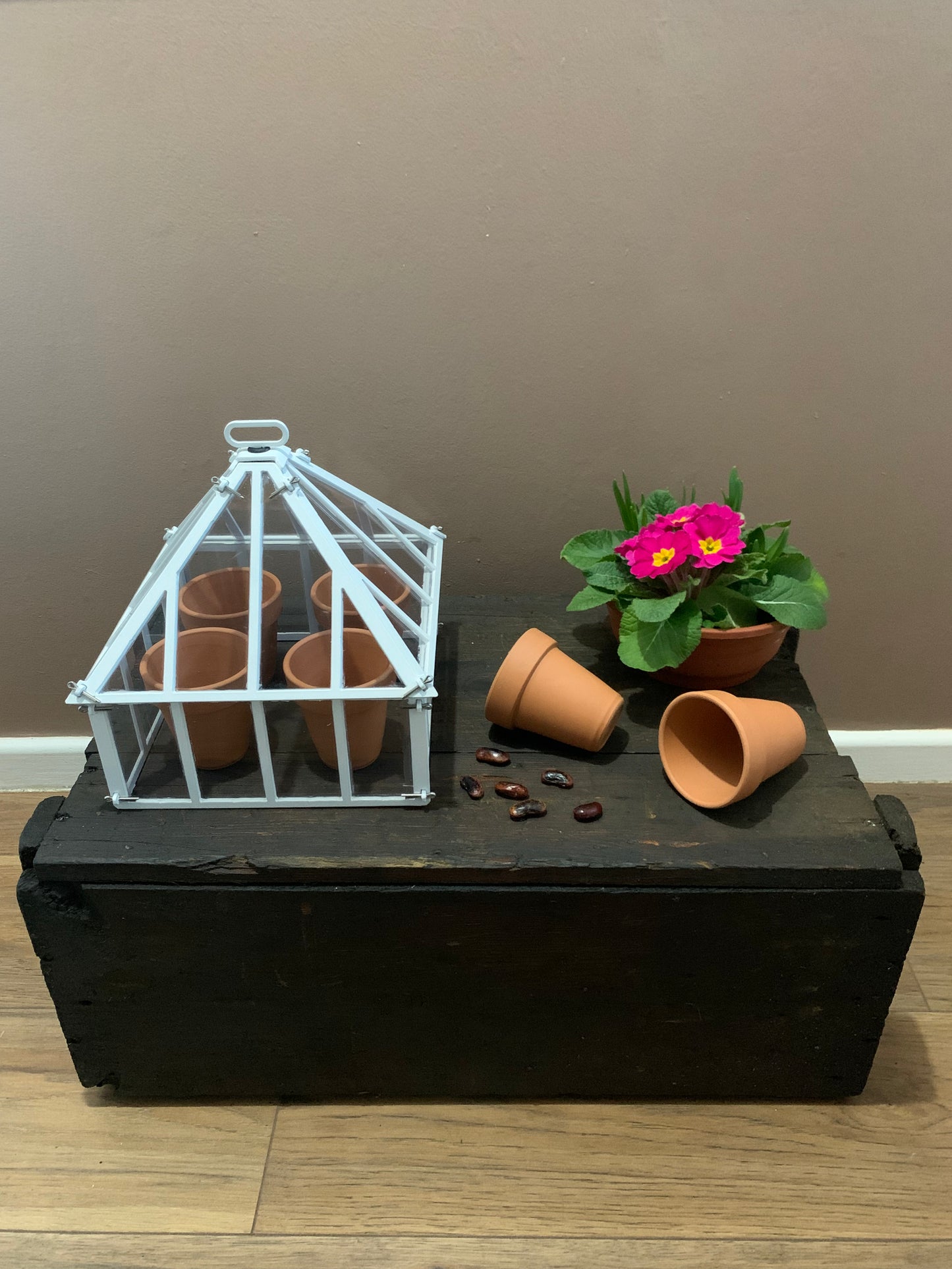 Balcony Cloche