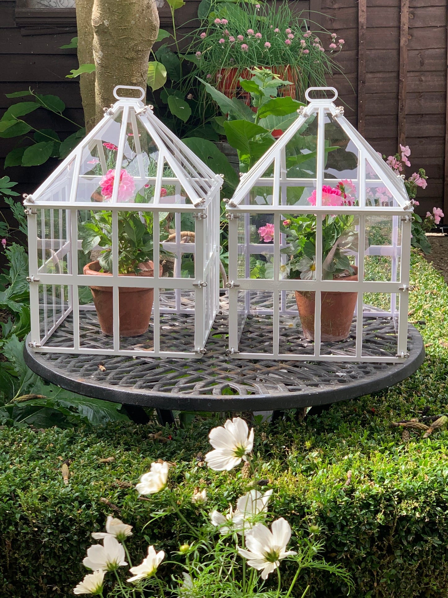 Two Storey Jekyll Cloche